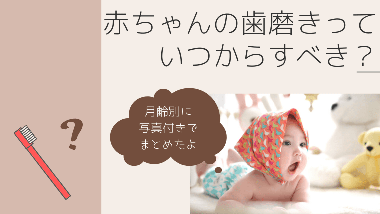 月齢別まとめ 赤ちゃんの歯磨きはいつからするの 歯科衛生士はこう磨く 歯と子育てブログ